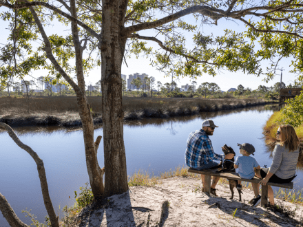 Campground in Gulf State Park