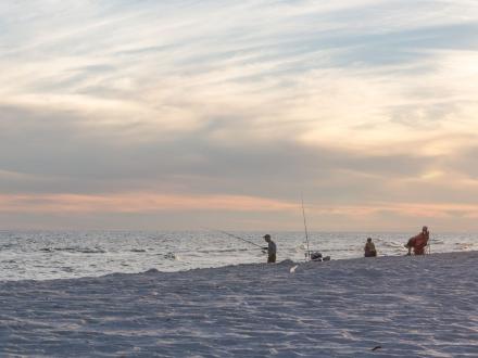 Surf Fishing Orange Beach