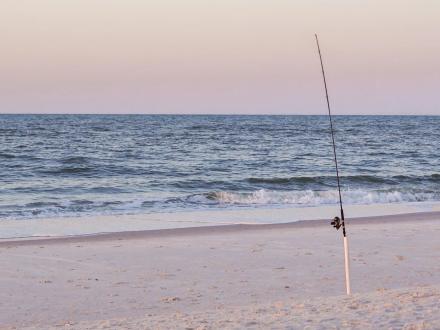 Surf Fishing Gulf Shores