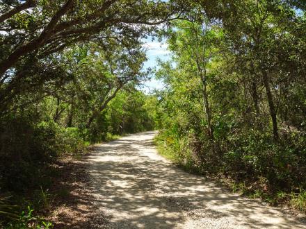 Bon Secour Trail