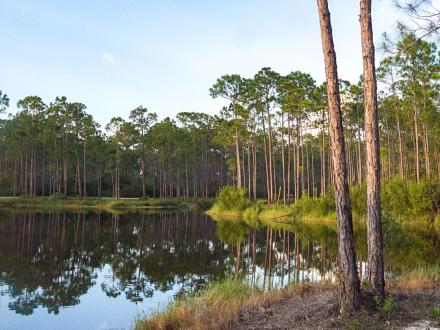 Gulf State Park Hidden Lake