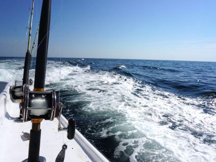 Deep-Sea Fishing Orange Beach