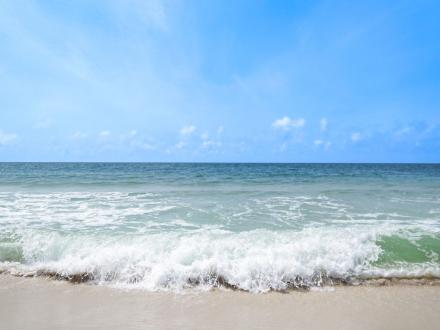 Gulf Shores Beach