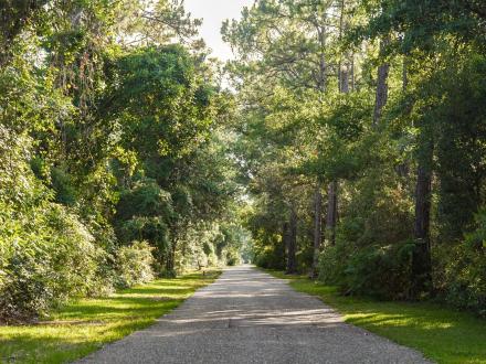 Gulf State Park