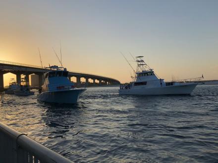 Charter Fishing Orange Beach