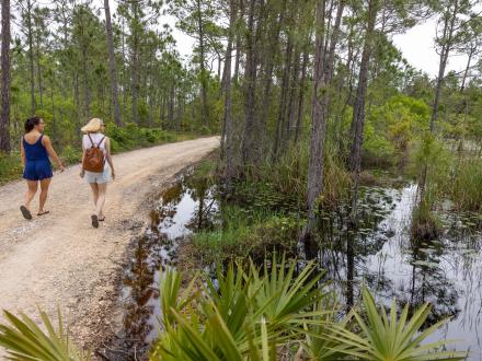 Pine Beach Trail Orange Beach Alabama