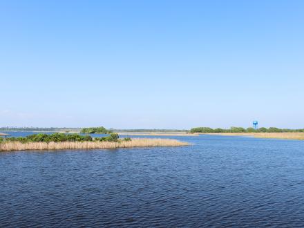 Lake Shelby