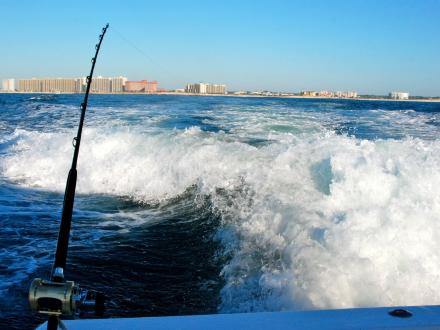 Orange Beach Fishing Charter