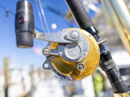 Fishing Rod
