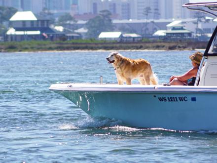 Boating in Orange Beach