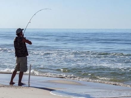 Angler fishing the surf along the beaches of Gulf Shores and Orange Beach.
