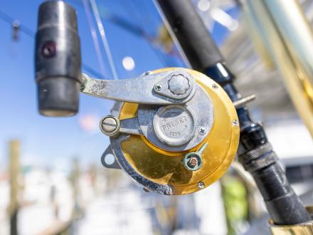 Choosing the Right Fishing Rod in Gulf Shores & Orange Beach