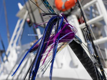 Zeke's Marina Fishing