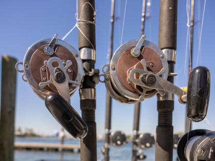 Fishing Reel