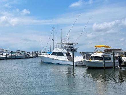 Boat Marina Orange Beach