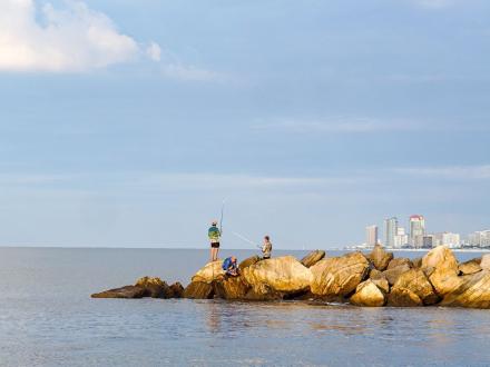 Jetty Fish