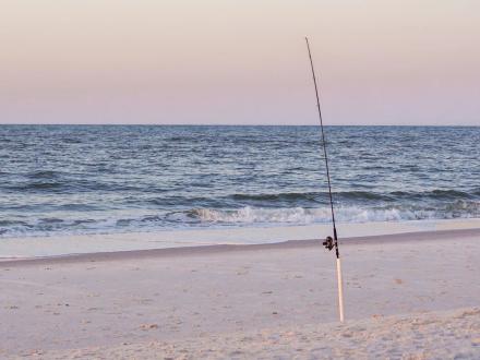 Choosing the Right Fishing Rod in Gulf Shores & Orange Beach
