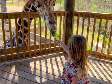 Alabama Gulf Coast Zoo