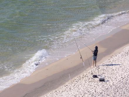 Surf Fishing in Gulf Shores
