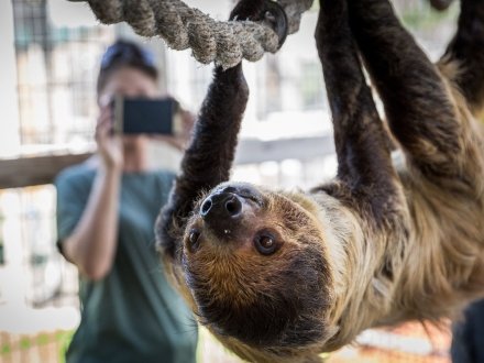 Alabama Gulf Coast Zoo