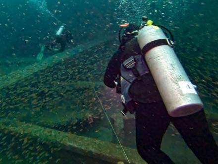 Scuba Diving with Down Under Dive Shop