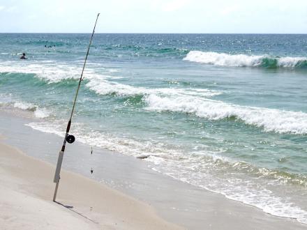 Surf Fishing in Orange Beach