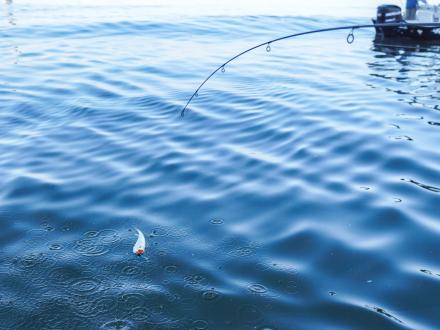 Rig Fishing for White Trout in Gulf Shores