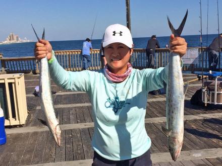 Fishing for Spanish Mackerel in Gulf Shores