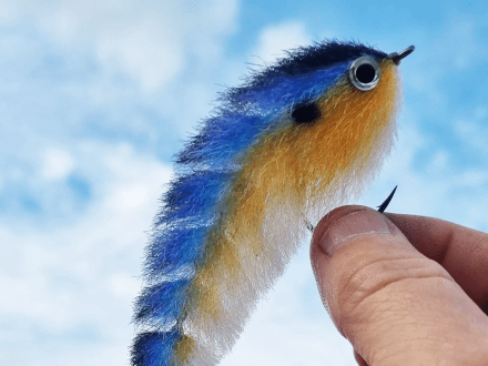Best Lures for Fishing in the Gulf