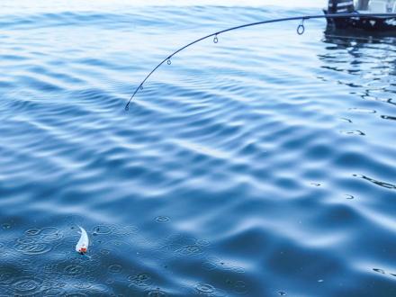 Fishing for White Trout in Orange Beach