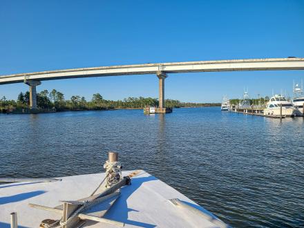 Sunny Lady Dolphin Cruise in Orange Beach