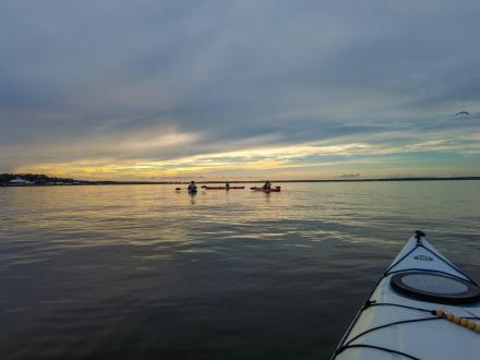 People kayaking at sunrise in Wolf Bay in Orange Beach