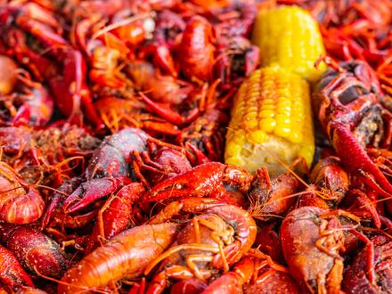 Crawfish and corn boil on Alabama Beaches