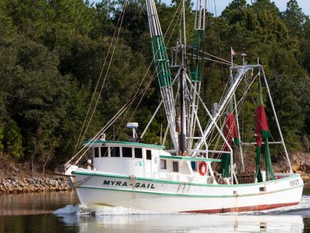 Shrimp boat on the Alabama Gulf Coast
