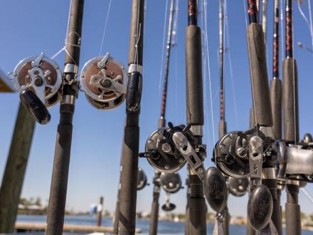 Fishing rods lined up on a charter boat in Orange Beach