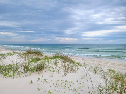 An uncrowded beach down Fort Morgan