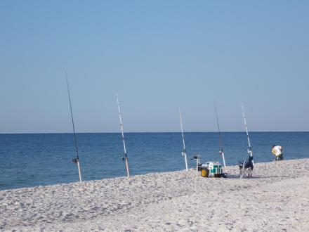Fishing rods set up on the shore for surf fishing in Gulf Shores