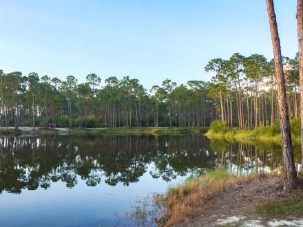 Serene view of Hidden Lake inside Gulf State Park
