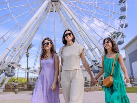 The Wharf Ferris Wheel