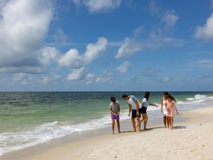 Family looking for seashells along the shore in Orange Beach