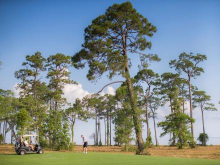 Men playing golf at Peninsula Golf & Racquet Club in Fort Morgan