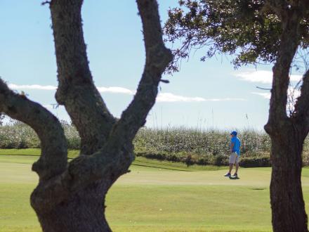 Man playing golf at Kiva Dunes Golf Resort in Fort Morgan