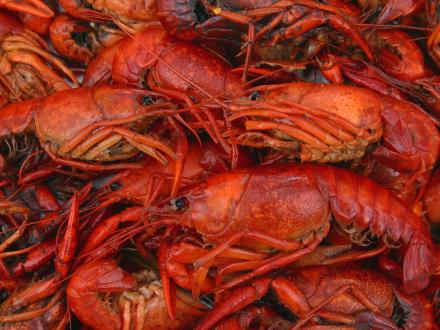 Plate of crawfish