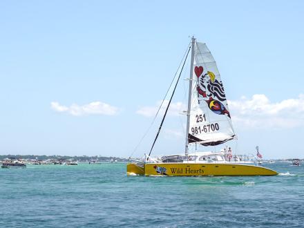 Sail Wild Hearts sail boat cruising in the Gulf