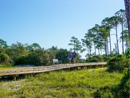 Two people walking on the boardwalk trail in Bon Secour National Wildlife Refuge