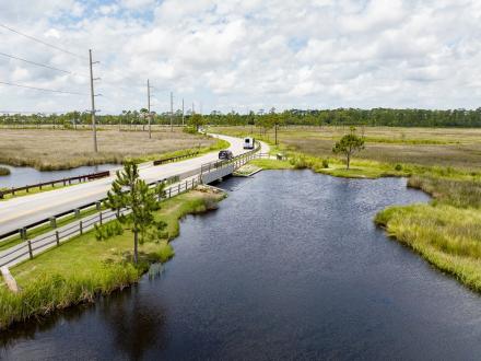 Cars driving through scenic Gulf State Park in Gulf Shores