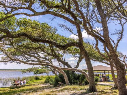 People enjoying the scenic picnic area at Lake Shelby in Gulf State Park