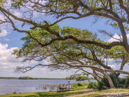People gathered around a picnic table under a tree at Lake Shelby in Gulf State Park