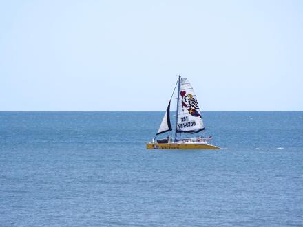Sail Wild Hearts sail boat cruising in the Gulf