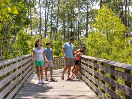 Family walking along the boardwalk on the Hugh S. Branyon trail in Gulf State Park